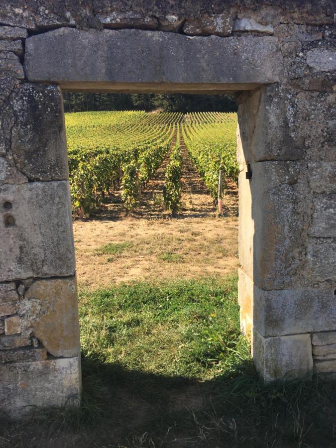 Maison Tassigny Meursault Eksteriør billede
