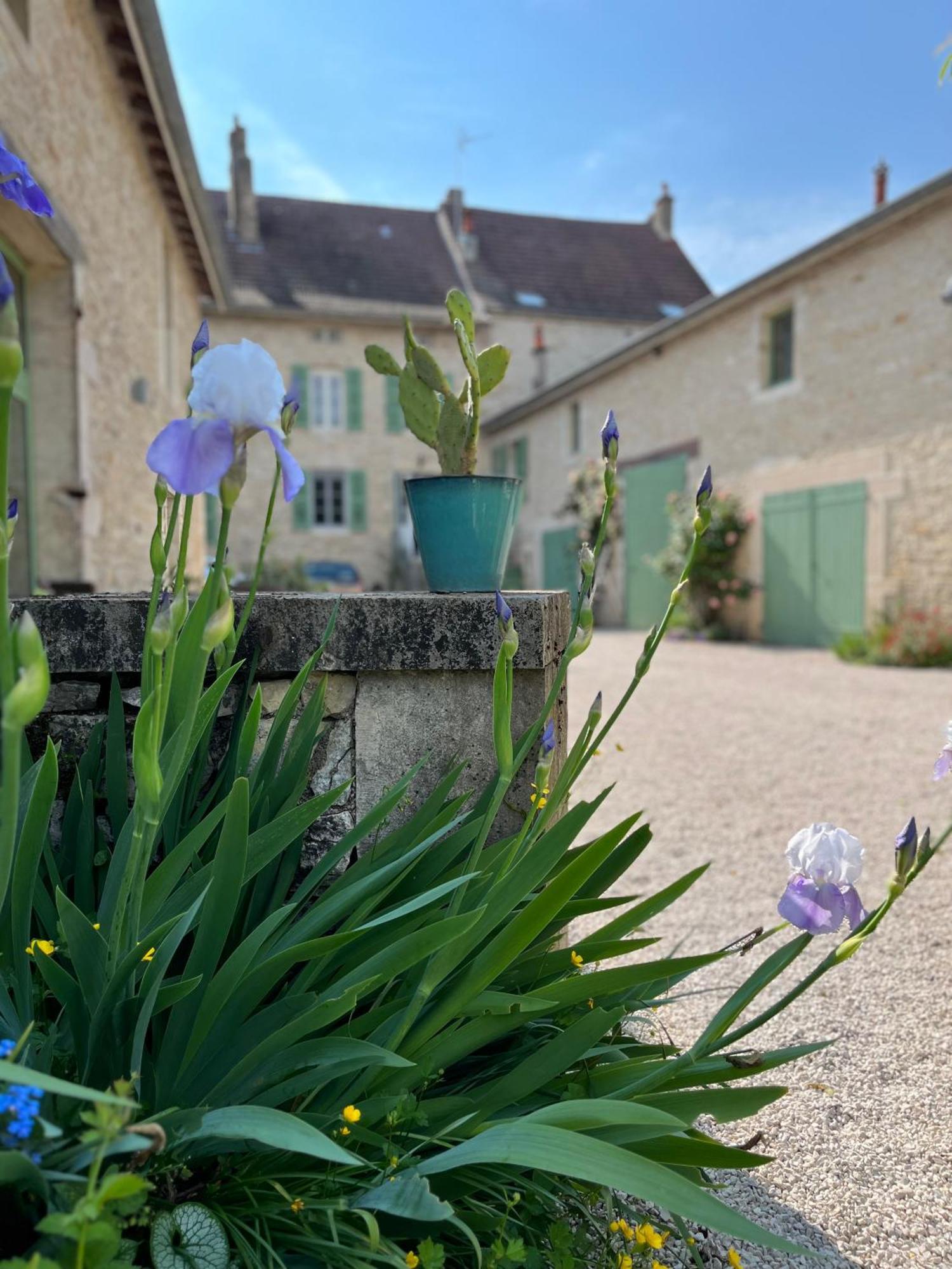 Maison Tassigny Meursault Eksteriør billede